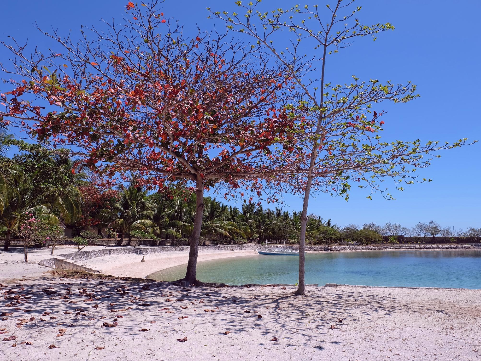 Cordova Reef Village Resort Lapu-Lapu City Luaran gambar